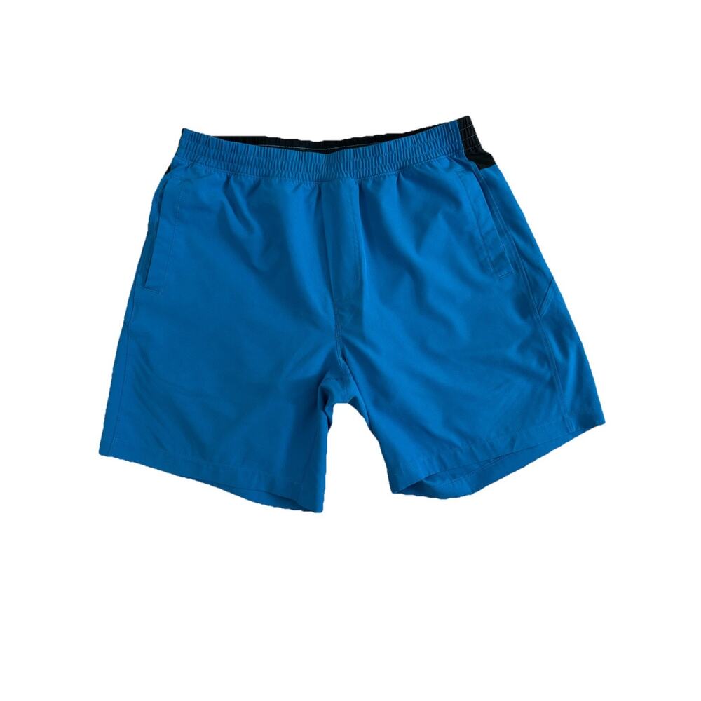 Bearbottom Mens Shorts Blue Size Large